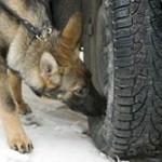 drug dogs in traffic stops