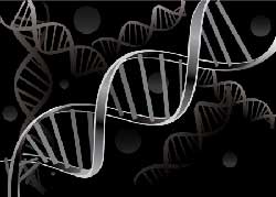 forensic evidence attorney in Tulsa Oklahoma